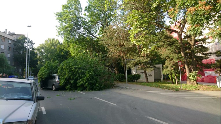 VIDEO U Zagrebu stablo palo na auto u vožnji