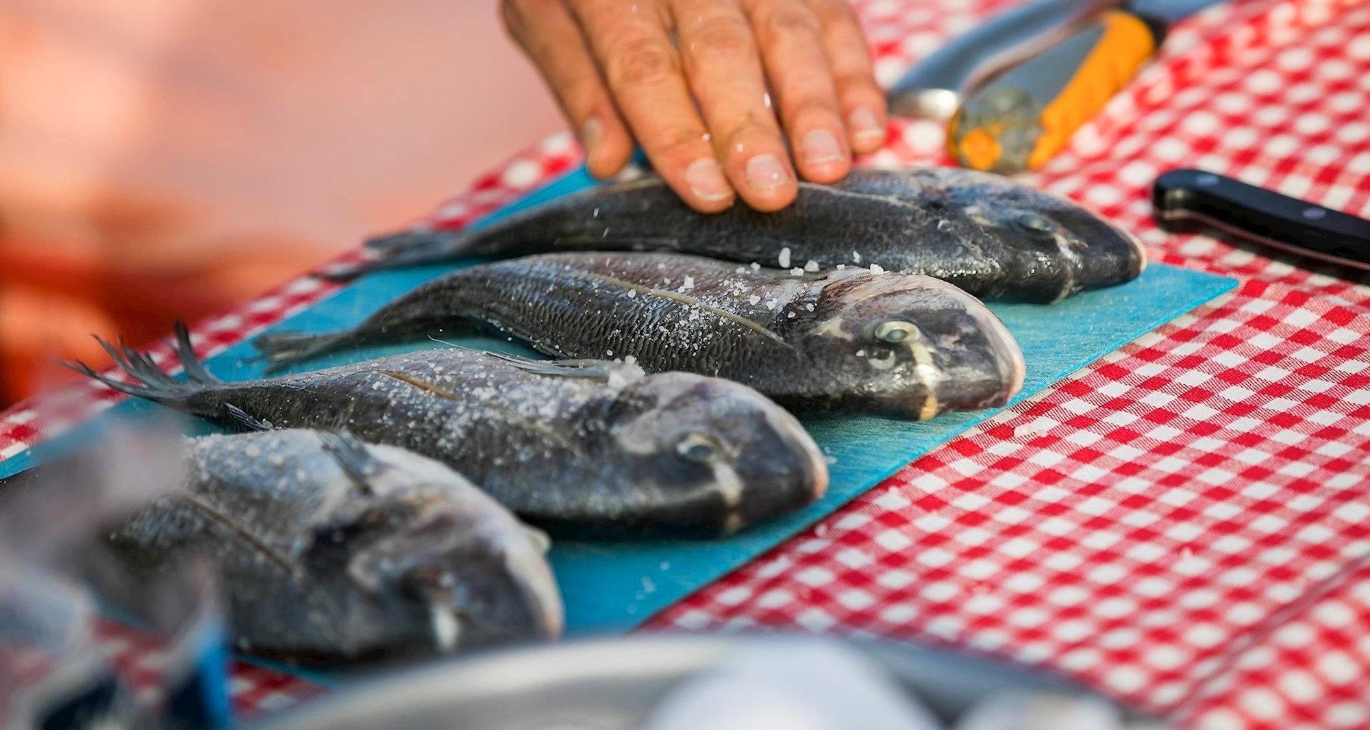 Na moru ste? Evo što sve možete raditi osim kupanja