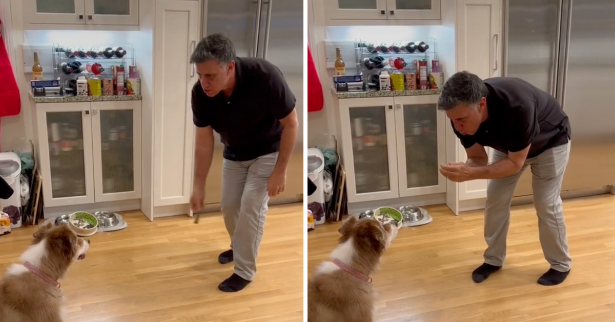 Australski ovčar odbija zdravu poslasticu dok mu vlasnik ne izvede čarobni show