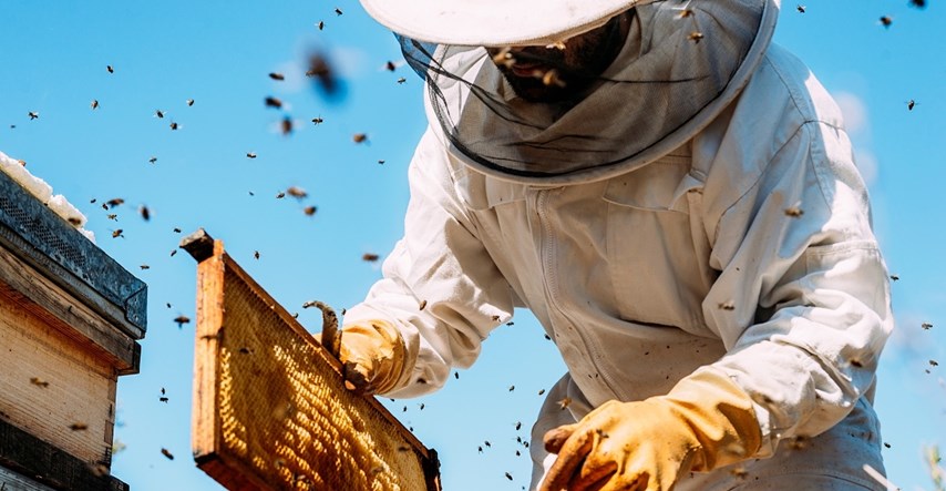 Kod Bjelovara ukrao pčelinjak s preko 100 košnica. Šteta je 40-ak tisuća eura