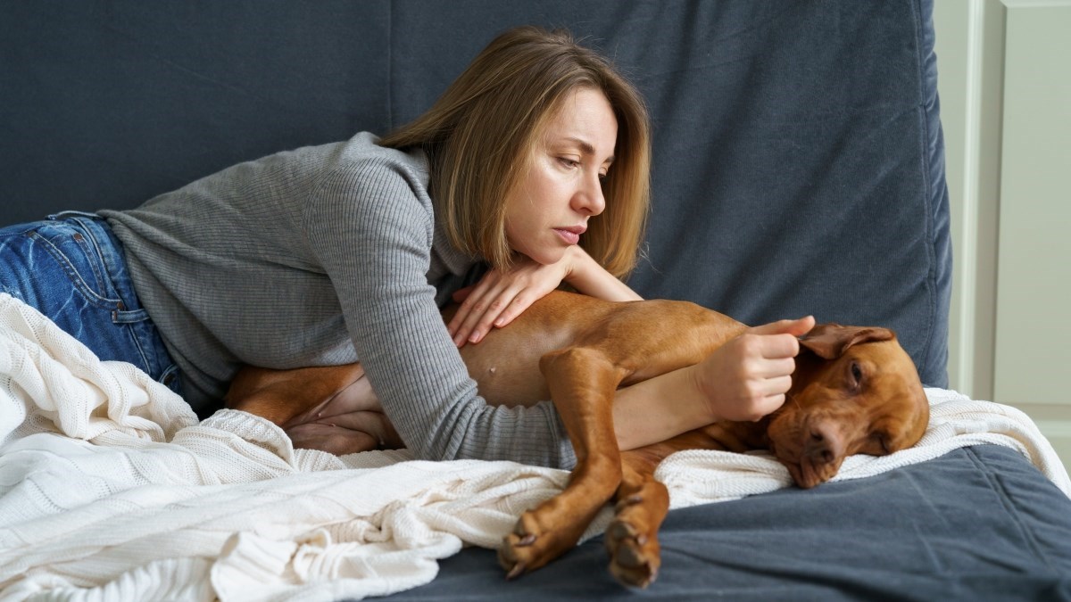 Ovo su znakovi da vašeg ljubimca muče paraziti. Neki od njih mogu prijeći i na vas