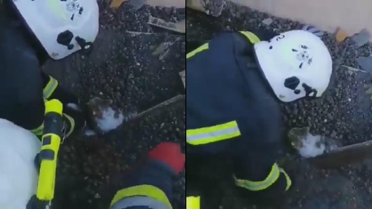 Ukrajinci objavili dirljiv video spašavanja: "Ruski okupatori, osveta vam stiže"