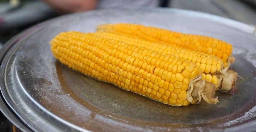 EU odobrila upotrebu GMO kukuruza u hrani