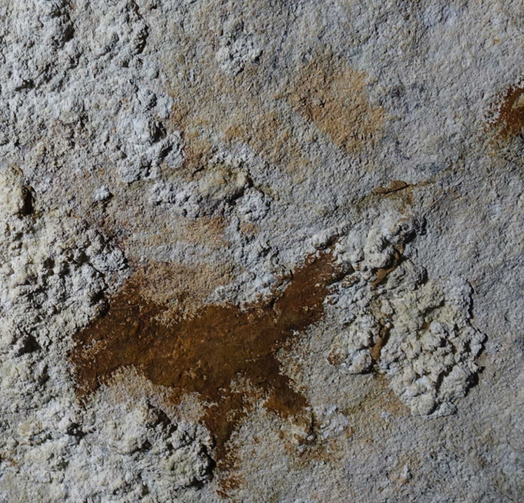 Povijesno otkriće u Indoneziji: Otisak ljudske ruke star 67.800 godina