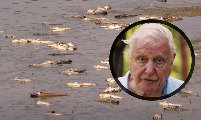 Attenborough u novom dokumentarcu upozorio čovječanstvo najoštrije dosad