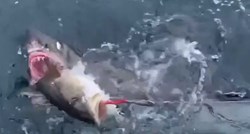 Obitelj u šoku snimala kako im morski pas krade ribu s udice