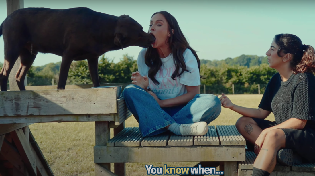 Ljudi ne mogu vjerovati što je britanska TV zvijezda dopustila da joj radi pas