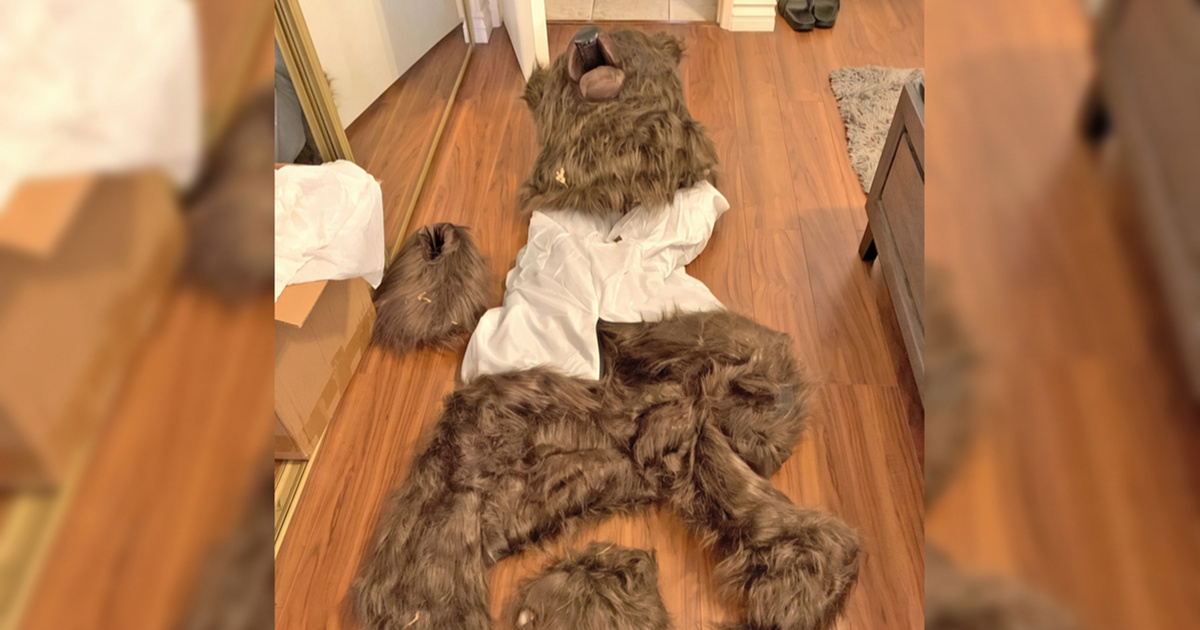 Uz pomoć kostima medvjeda pokušali prevariti osiguranja u Kaliforniji. Osuđeni su