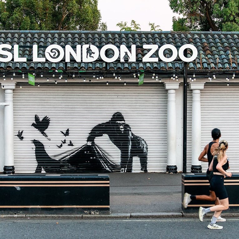 Londonski zoološki vrt uklonio Banksyjev mural, stavljen na čuvanje