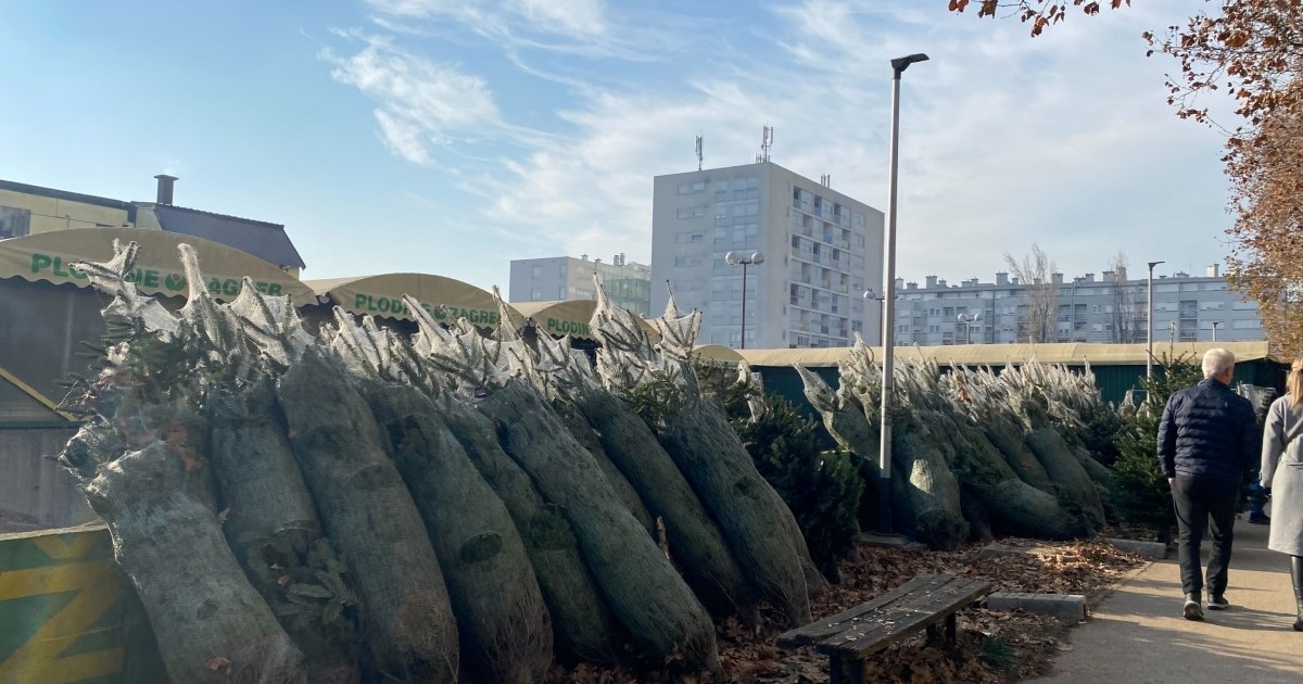 Sve poskupljuje. Pogledajte cijene božićnih drvca ove godine