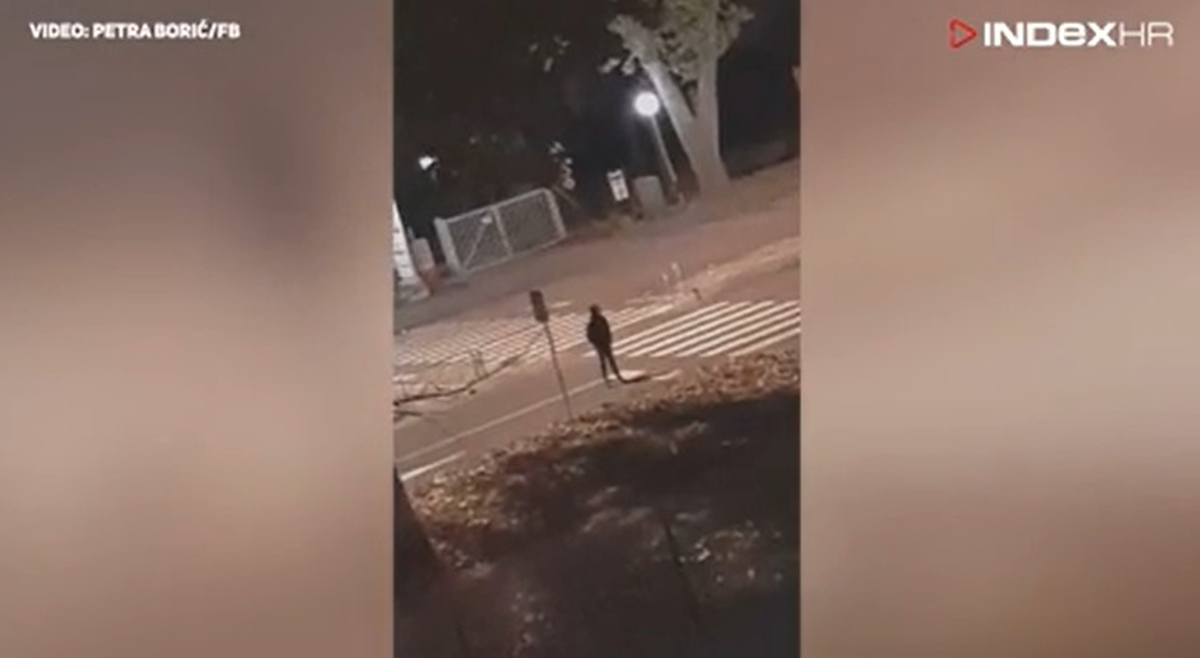Studente u domu Stjepan Radić u 3 ujutro probudila vika: "Trajalo je 45 minuta"