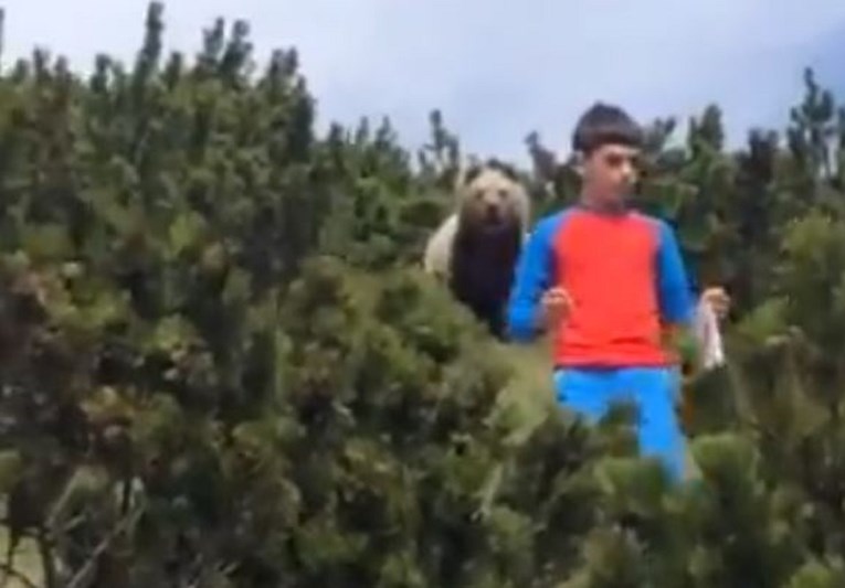 Iza 12-godišnjaka u šumi iznenada se pojavio medvjed, dječak postao hit zbog reakcije