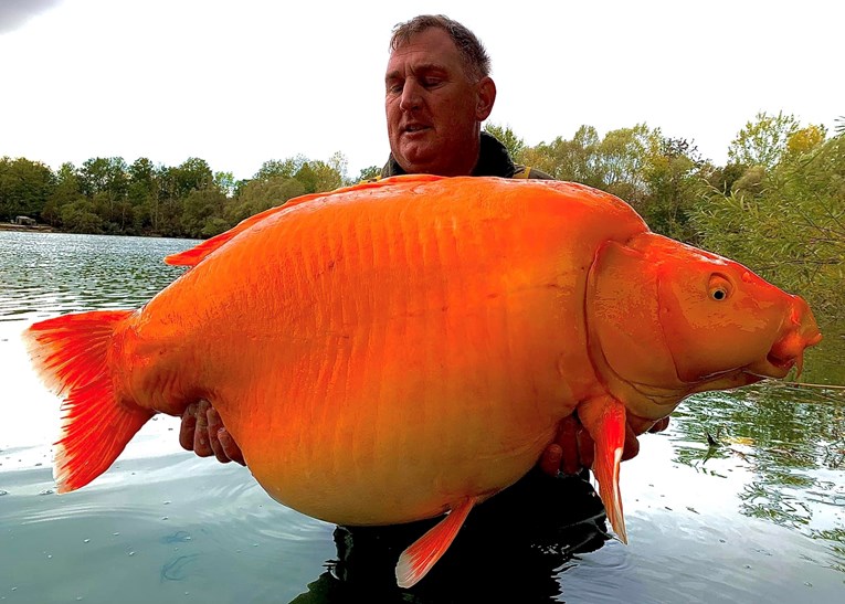 Ribič ulovio gigantsku ribu od 30 kilograma: "Izvlačio sam je 25 minuta"