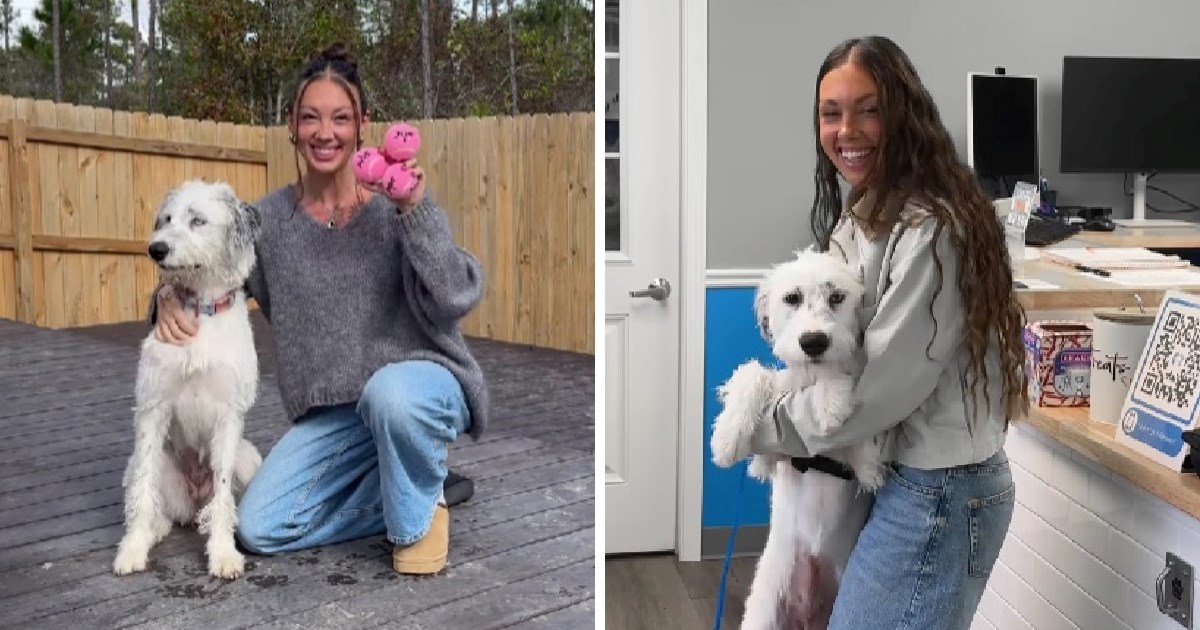 Žena prešla pola svijeta kako bi udomila psa s interneta