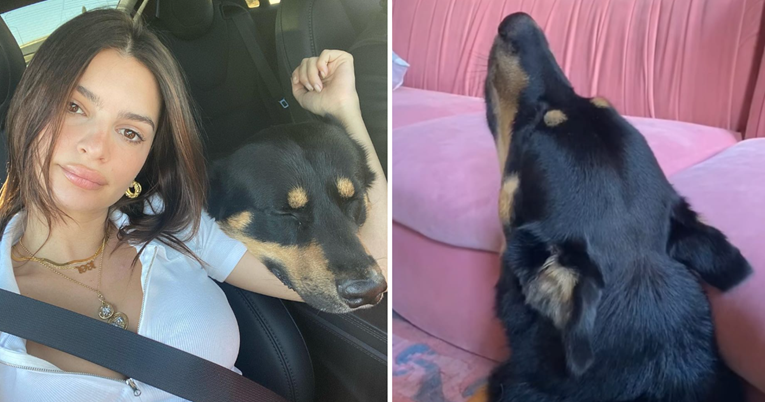 Emily Ratajkowski ima psa Colomba. Pokazala je kako njen ljubimac izražava emocije