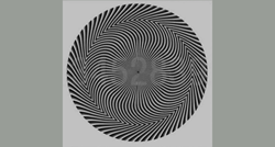 Optička iluzija koja je izludila ljude: Možete li vidjeti sve brojeve na ovoj slici?