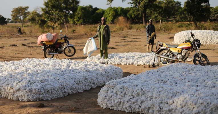 Najveći afrički izvoznik pamuka planira zaustaviti izvoz, otvara tvornice za preradu
