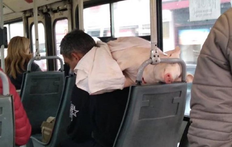Scena iz beogradskog autobusa rastužila ljude: "Jadan čovjek i jadna životinja"