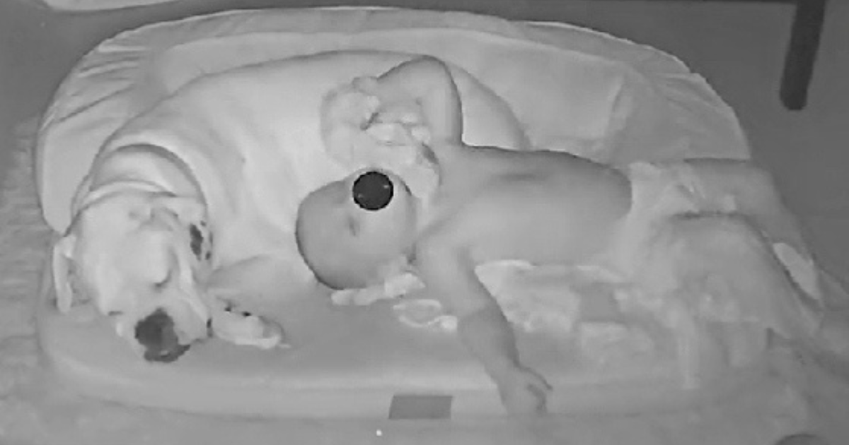 VIDEO Kamera snimila dječaka koji ustaje iz kreveta i odlazi spavati sa svojim psom