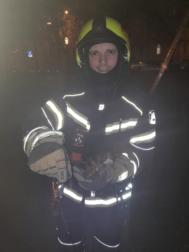 Vatrogasci u Zagrebu spasili odbjeglu vjevericu 🐿️