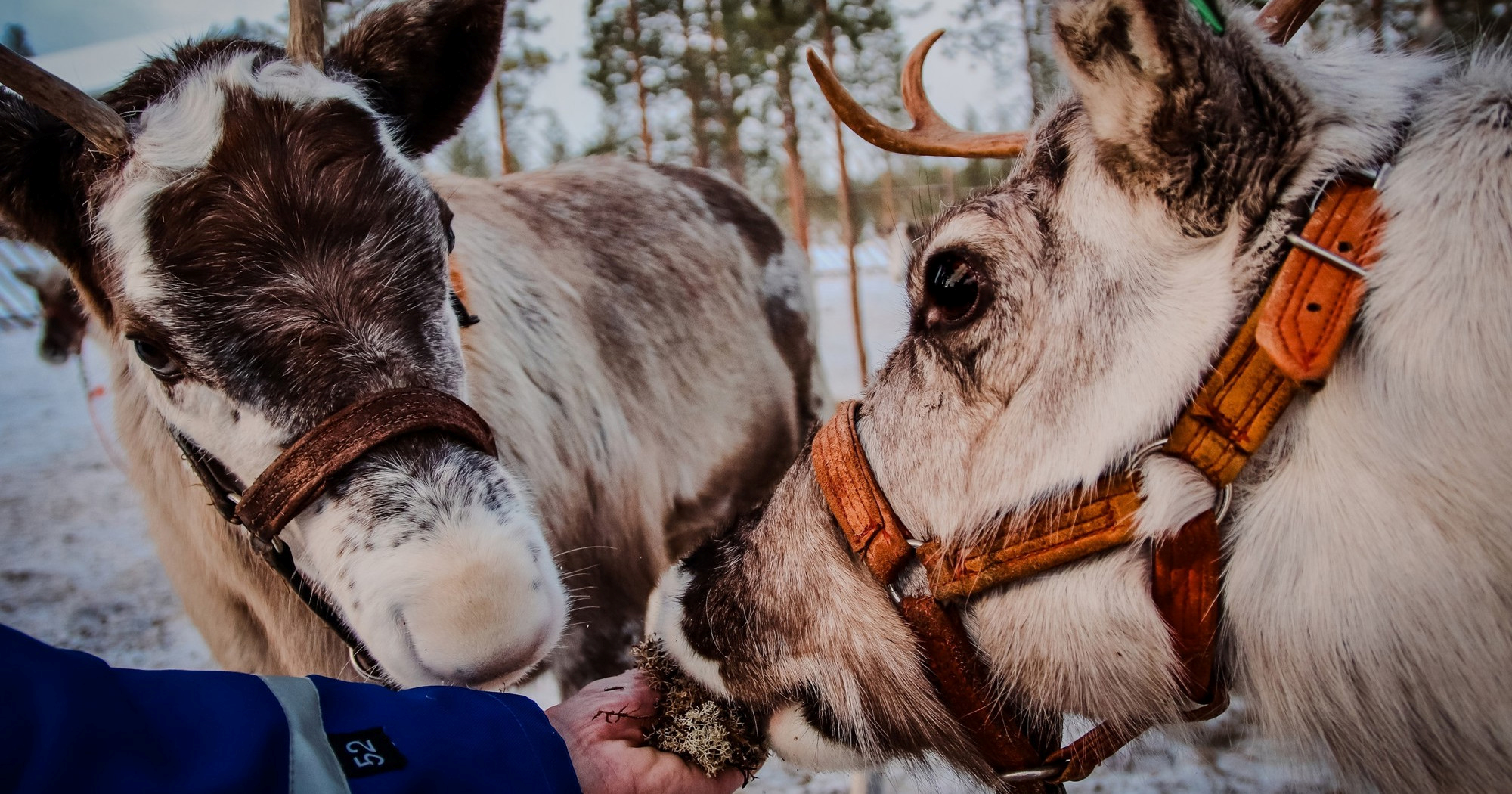 Turisti upozoreni na zimski trend koji ih može skupo stajati