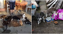 Udruga iz Osijeka koja brine o napuštenim mačkama pred gašenjem: Trebamo pomoć