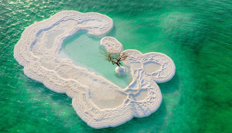 "Drvo života" raste na otoku od soli usred Mrtvog mora