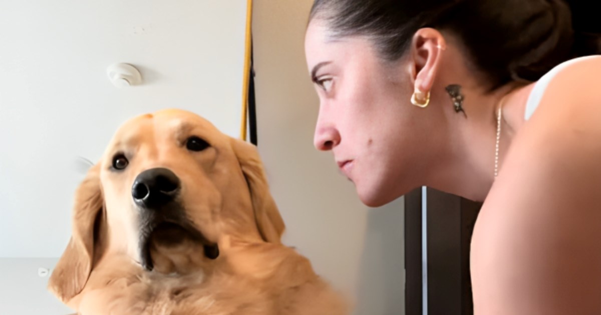 Zlatni retriver se smrtno naljutio na vlasnicu, razlog je urnebesan