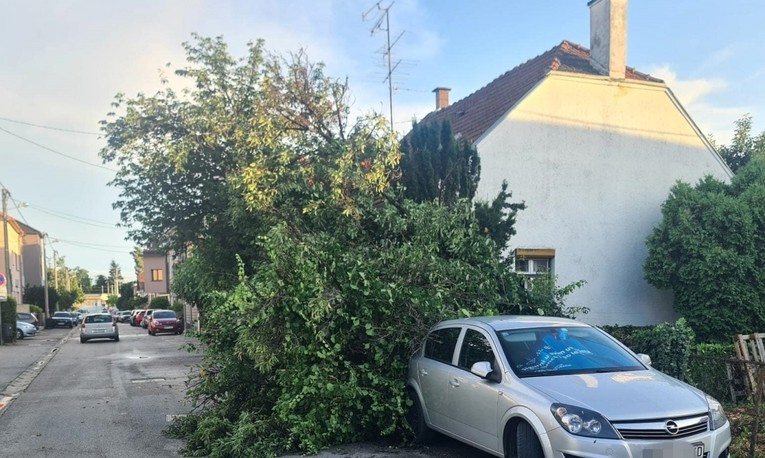 Netko je zagrebačkim vatrogascima na Kustošiji uzeo motornu pilu