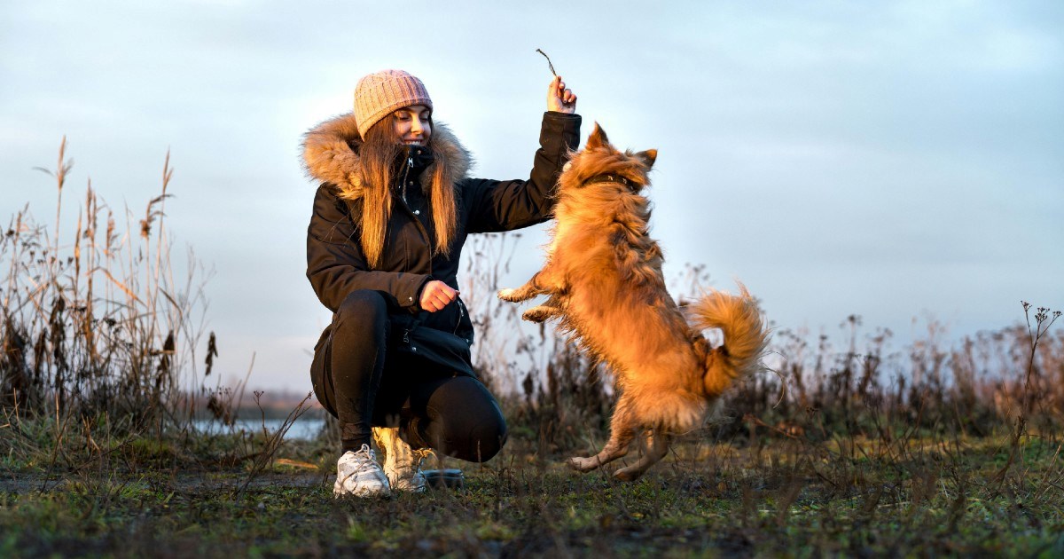 Životinje nas uče 14 stvari o ljubavi i životu koje većina ljudi nikada ne shvati