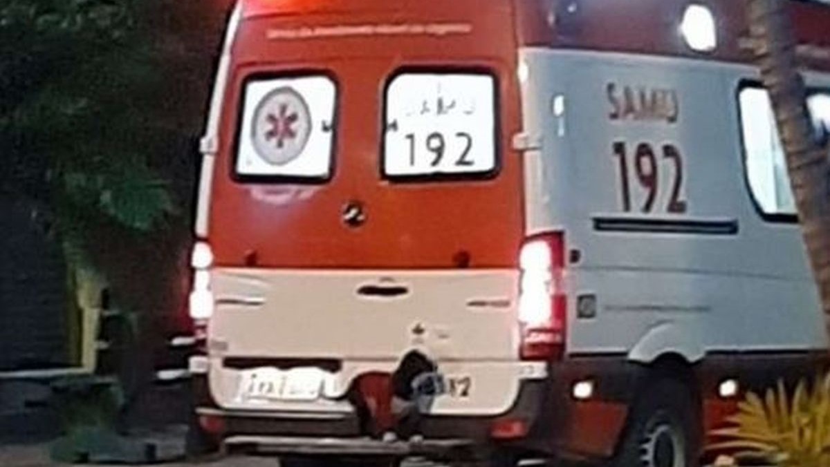 Pas skočio na vozilo hitne pomoći jer nije htio ostaviti vlasnika na putu do bolnice