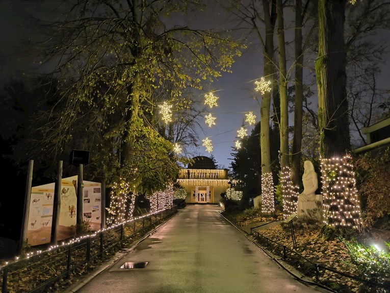 U subotu počinje Advent u zagrebačkom ZOO-u, evo što očekuje posjetitelje