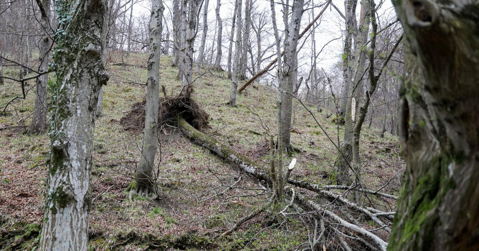 Proglašena prirodna nepogoda za Žumberak