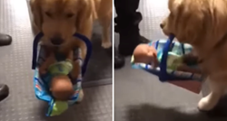 Uhvaćen na djelu: Policijski pas krao igračke donirane za siromašnu djecu