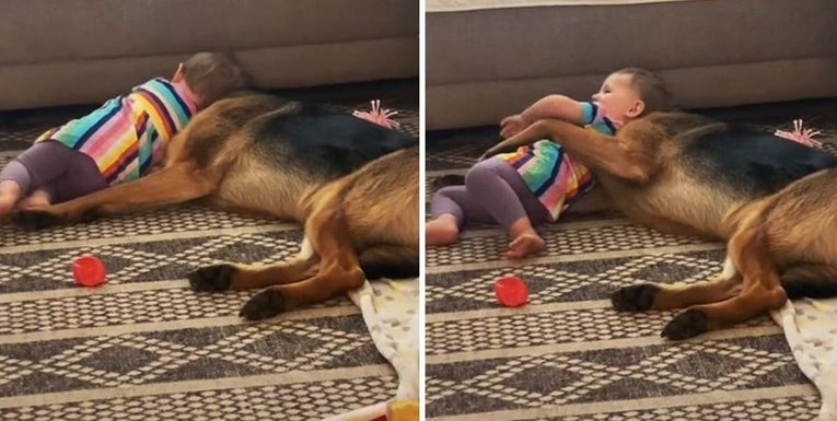 Ljude oduševilo što je pas napravio kad se beba naslonila na njega: "Najljepši video"