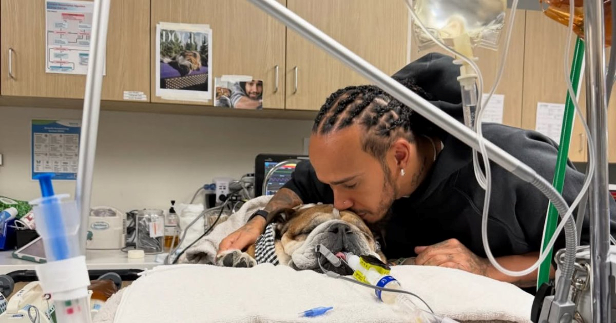 Pas Lewisa Hamiltona je u komi. Vozač Formule mu posvetio emotivnu objavu