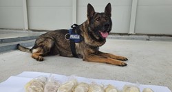Policijski pas na granici s BiH otkrio kilogram heroina