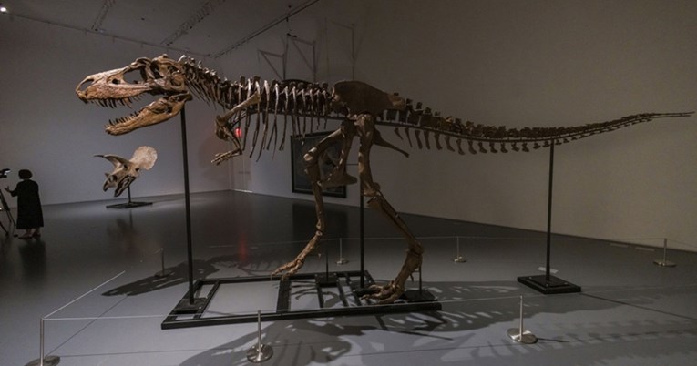 Kostur jednog od najstarijih dinosaura pronađen u Argentini