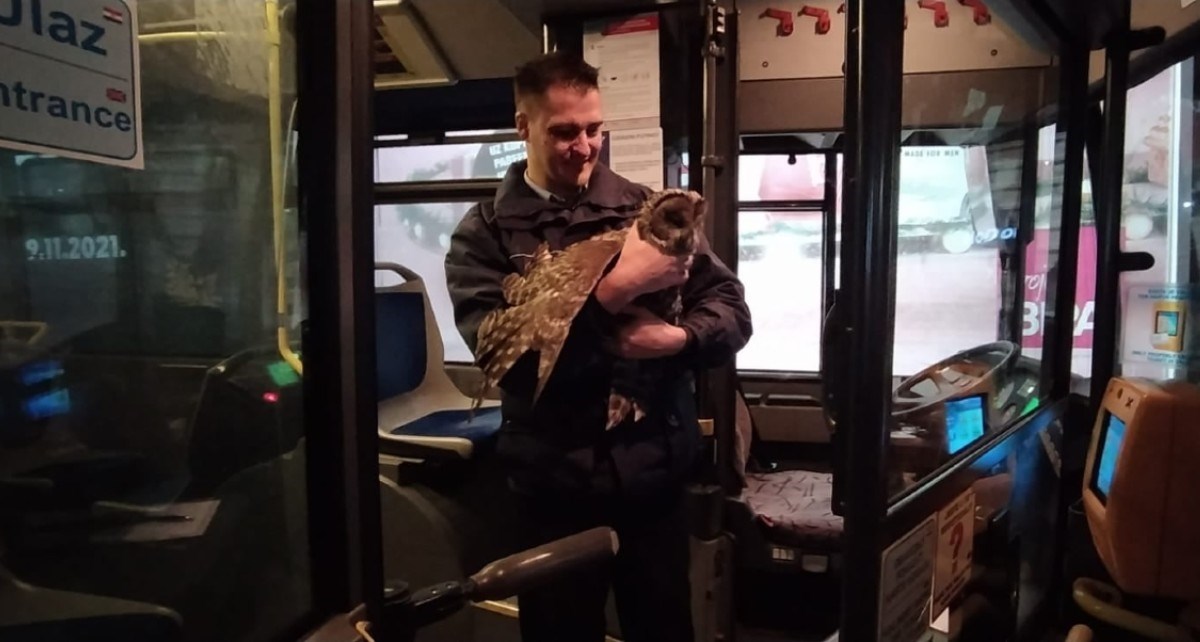 ZET-ovcu ovo nije prvi put da pomaže životinjama. Jednog psa je spasio, drugog udomio