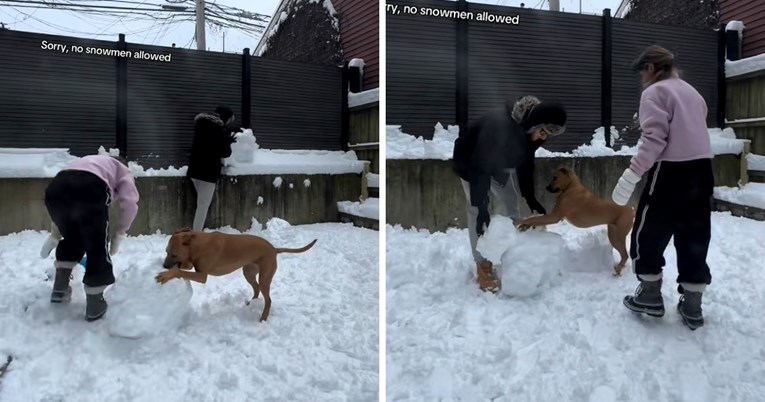 Pas ne dopušta vlasnicima da naprave snjegovića, video je hit