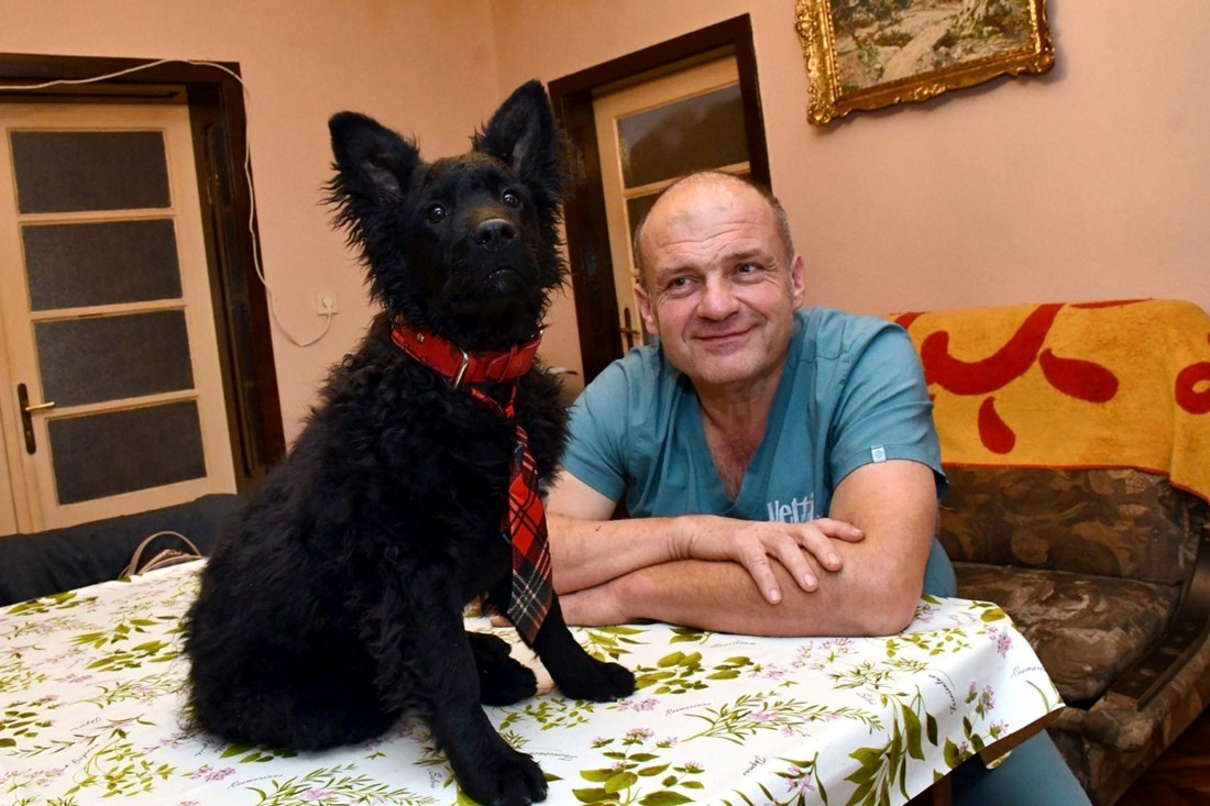 Raste interes za hrvatskim ovčarima, a sve je pokrenuo simpatični Dule