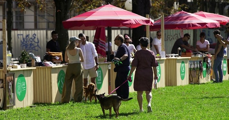 FOTO U Zagrebu je počeo Festival pasa svih rasa, bili smo