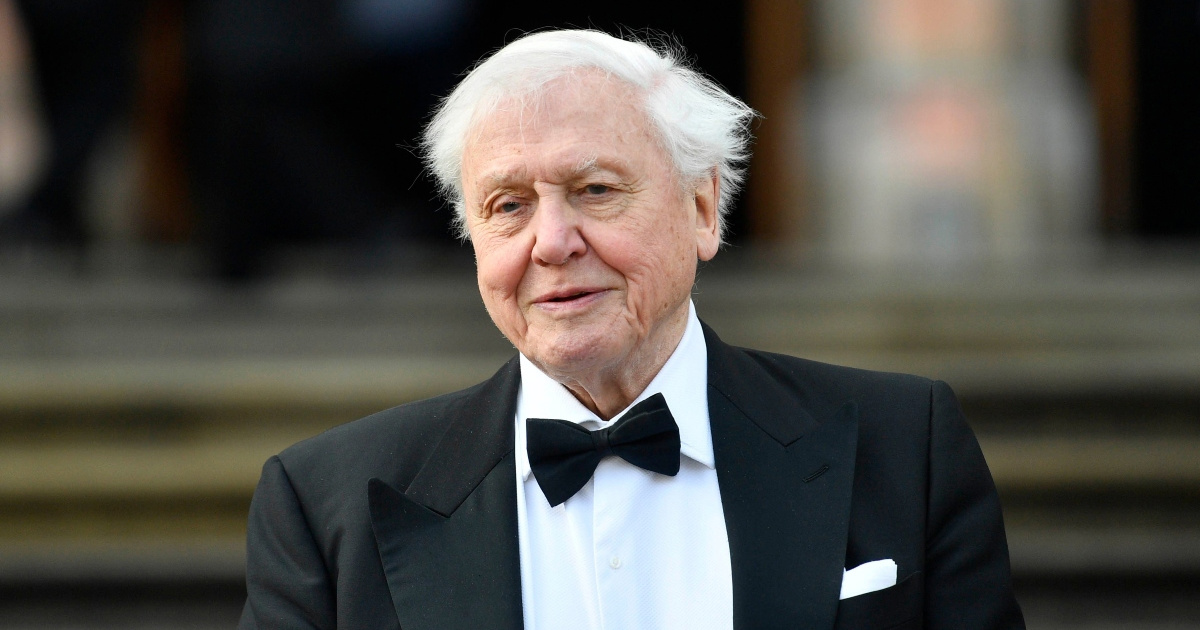 David Attenborough (100) otkrio što je izbacio iz prehrane zbog dugovječnosti