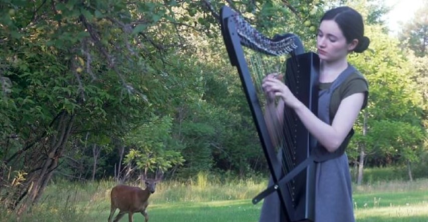 Cura svirala harfu u šumi i privukla jelena, shvatila to tek kad je pogledala snimku