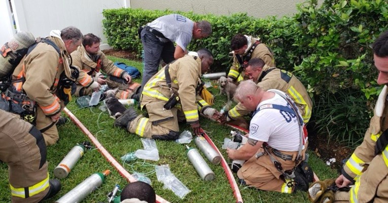 Vatrogasci na Floridi spasili sedam pasa iz kuće u kojoj je izbio požar