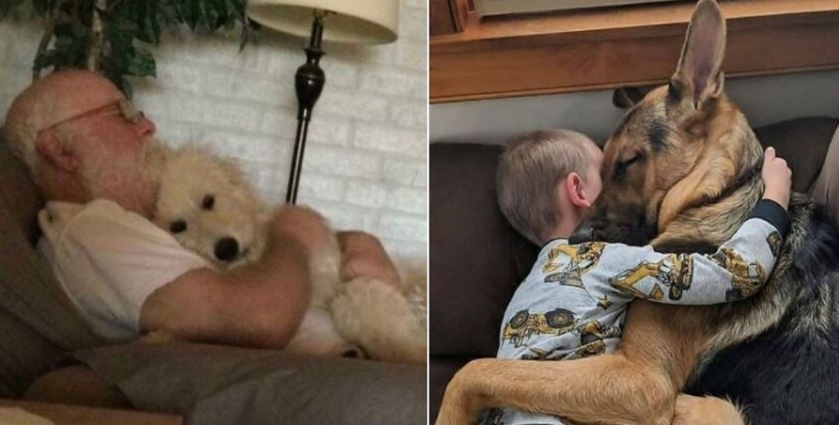 Imate loš dan? Ove fotke ljubimaca svakome će izmamiti osmijeh na lice