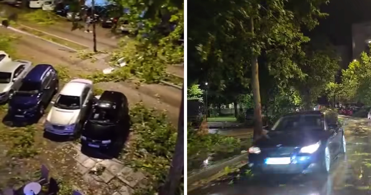 Snažno nevrijeme u Mostaru. Stabla padala na aute, vjetar čupao rolete