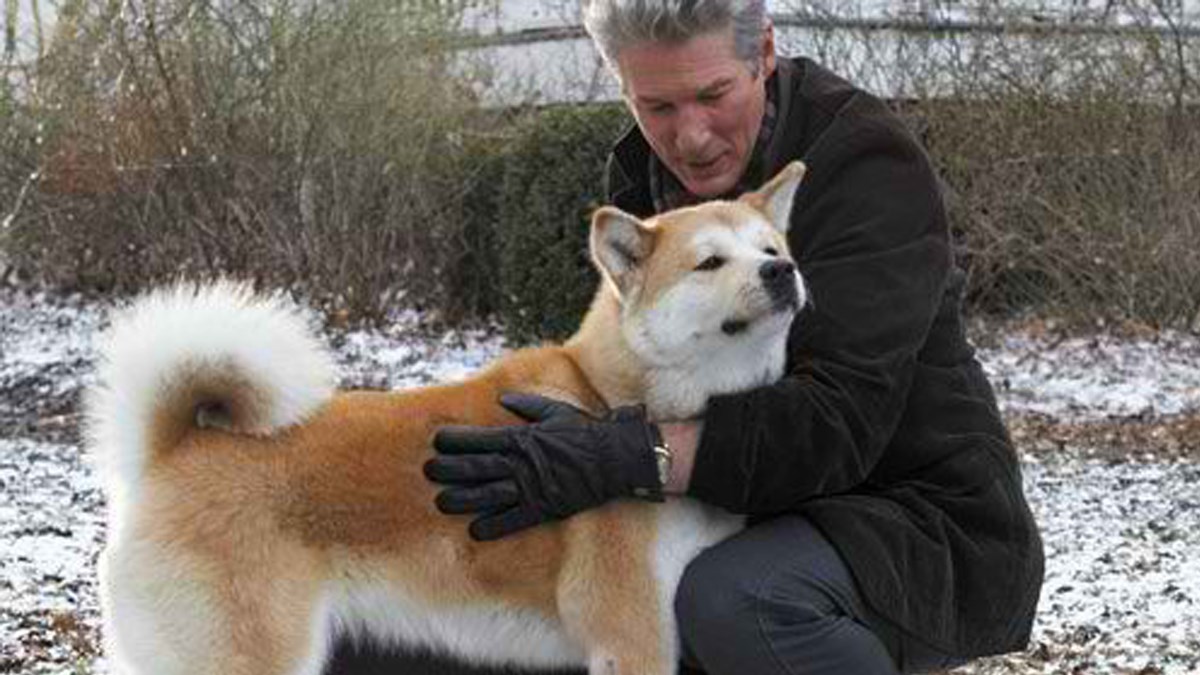 Svima omiljeni junaci: Tko su četveronožne zvijezde Hollywooda?