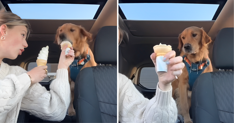 Imate loš dan? Pogledajte reakciju ovog psa kada je prvi put probao sladoled