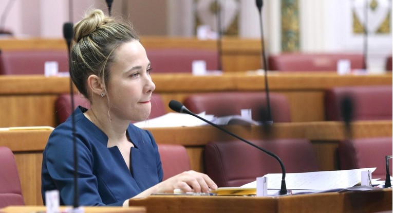 Selak Raspudić predlaže reformu sabora: Na sjednici mora biti najmanje 66% zastupnika